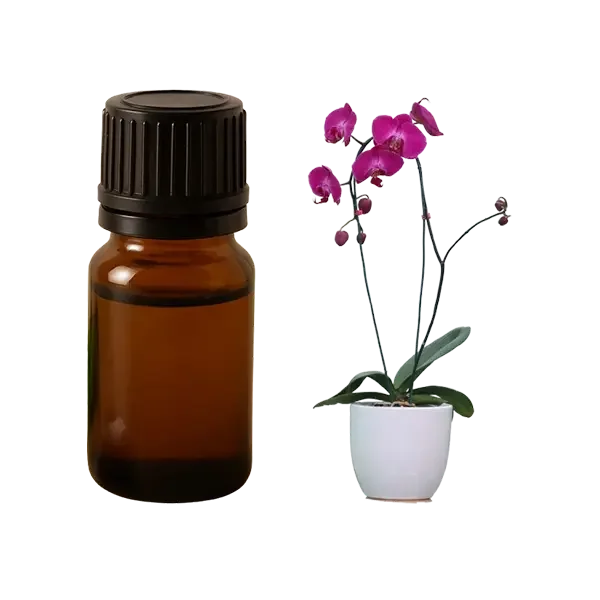 اسانس گل ارکیده